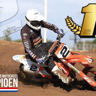Michel Hoenson