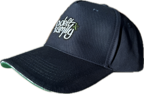 CASUALS Caps Dark Blue Style Logo Deft Family (New)