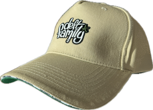 CASUALS Caps Beige Style Logo Deft Family (New)